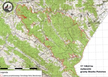 Czy w Polsce powstanie nowy park narodowy?