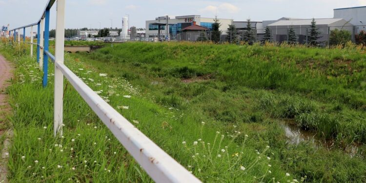 Mielec:  Sprawdzą co jest w wodzie i w glebie!