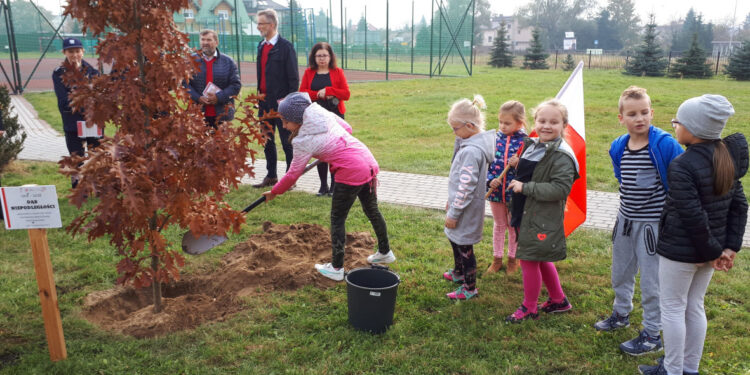 Nisko: Posadzili Dąb Niepodległości