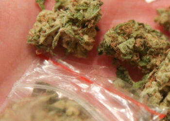 Krzeszów: Nastolatka z maryhą w szkole