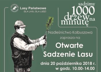 Mielec: Przedszkola (szybko) nie będzie.