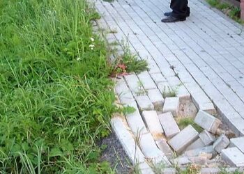 Tarnobrzeg, Sandomierz: Diecezjalne Dni Kultury Chrześcijańskiej.