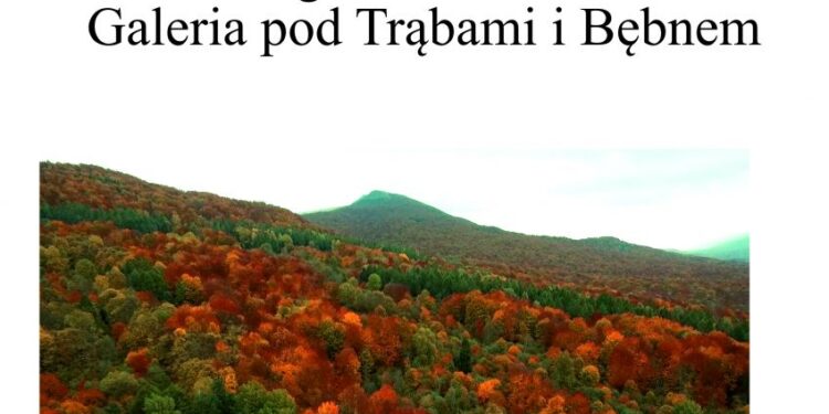 Kolbuszowa: Chcą reaktywacji pszoków.