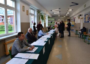 Mielec: Statystyki wyborcze