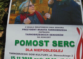 Tarnobrzeg. Pomost Serc w TDK.