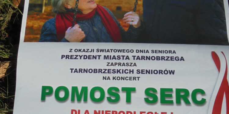 Tarnobrzeg. Pomost Serc w TDK.