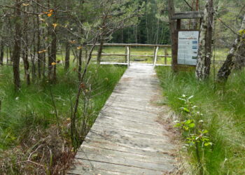 Przecław: Wchodzisz na własne ryzyko.