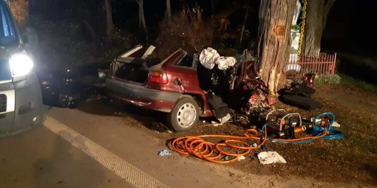 Brzozowa: Opel uderzył w drzewo. Dwie osoby nie żyją.
