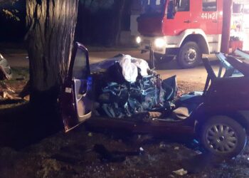 Brzozowa: Opel uderzył w drzewo. Dwie osoby nie żyją.