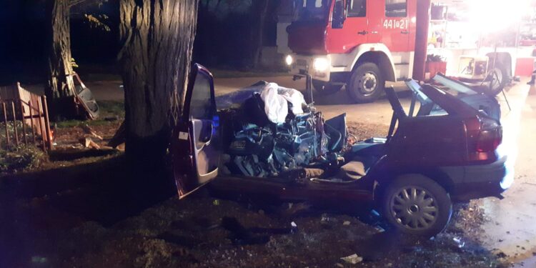 Brzozowa: Opel uderzył w drzewo. Dwie osoby nie żyją.