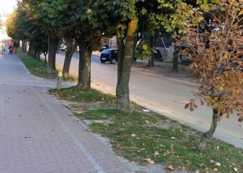 Kolbuszowa: Problem odpadów zielonych.