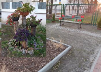 Stalowa Wola: Sąsiedzki klombik na Podleśnej