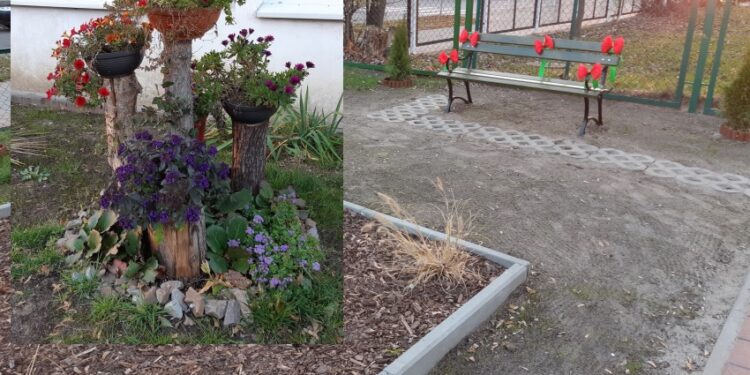 Stalowa Wola: Sąsiedzki klombik na Podleśnej