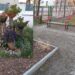 Stalowa Wola: Sąsiedzki klombik na Podleśnej