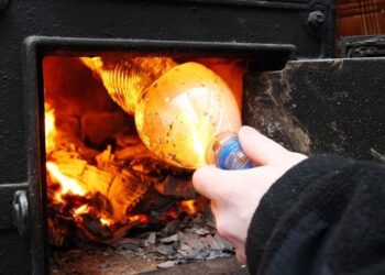 Mielec: Niezapowiedziane wizyty Straży Miejskiej.