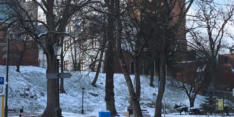 Sandomierz: Rewitalizacja Skweru Solidarności