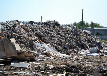 Mielec: Dwa etaty w Zarządzie Powiatu