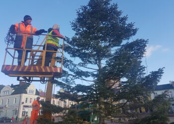 Tarnobrzeg. Choinka na Placu Bartosza Głowackiego rozbłyśnie.