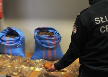 Region: Udaremnili przemyt bursztynu wartego ponad 140 tys. zł.