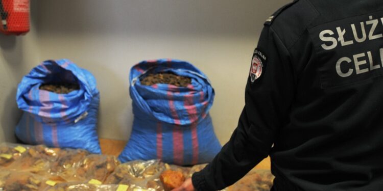 Region: Udaremnili przemyt bursztynu wartego ponad 140 tys. zł.