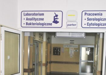 Mielec:  Badania, nie mogą być wysyłane do innych placówek.