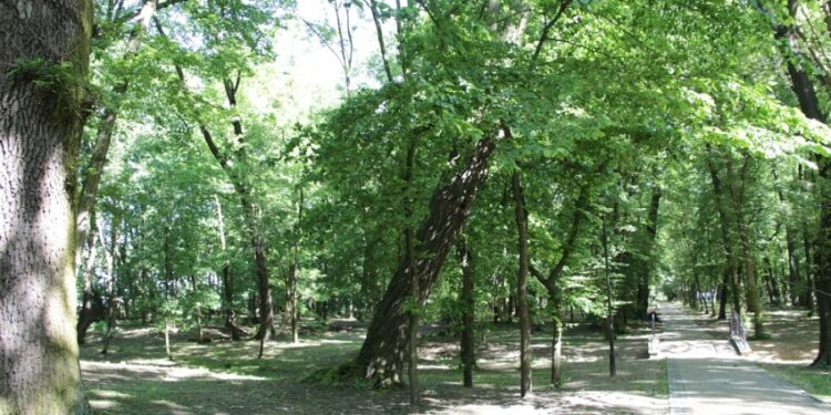 Nisko: Miasto pozyskało środki na dalszą rewitalizację zabytkowego Parku Miejskiego