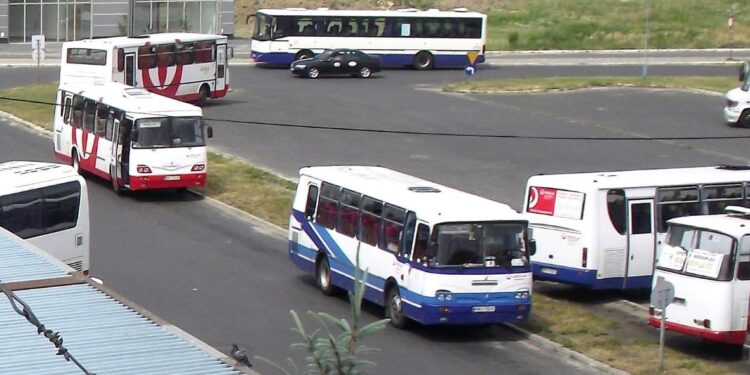 Mielec: Spór o transport zbiorowy.