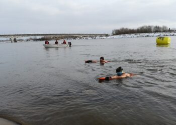 Sandomierz: Morsy przepłynęły Wisłę wpław