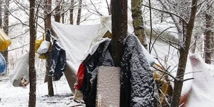 Stalowa Wola: Nie ma tłumów w schronisku dla bezdomnych