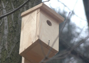 Radomyśl nad Sanem: Dwa granty dla gminy