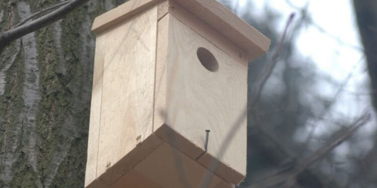 Radomyśl nad Sanem: Dwa granty dla gminy