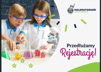 Dębica:  Konkursowo dla szkół.