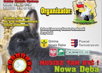 Nowa Dęba: Przyjdź i zobacz króliki wiedeńskie na wystawie