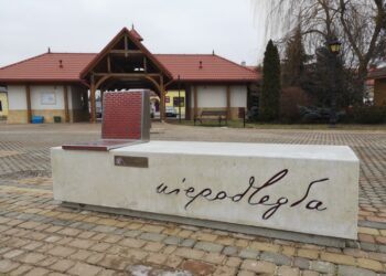 Tarnobrzeg: Raport „otwarcia” z opóźnieniem