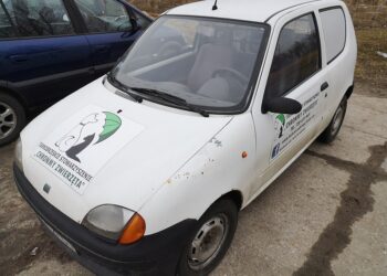 Tarnobrzeg: Stowarzyszenie pomaga zwierzętom. Teraz sami potrzebują pomocy.