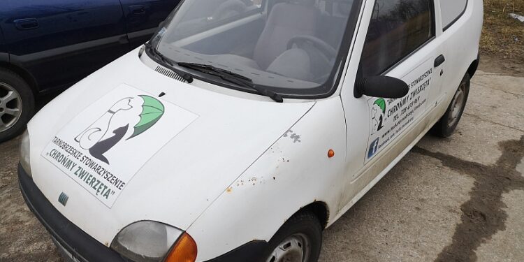 Tarnobrzeg: Stowarzyszenie pomaga zwierzętom. Teraz sami potrzebują pomocy.