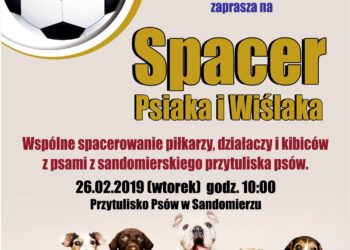Sandomierz: Dziś o 10.00 „Spacer Psiaka i Wiślaka”