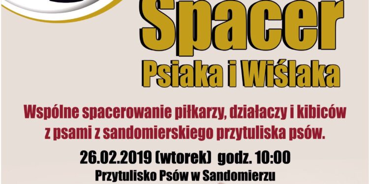 Sandomierz: Dziś o 10.00 „Spacer Psiaka i Wiślaka”