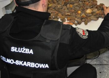 Region: Na bursztynie daleko nie pojechał.