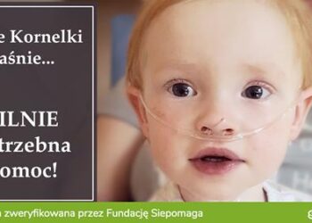 Tarnobrzeg: Kornelka – wojowniczka z chorym serduszkiem