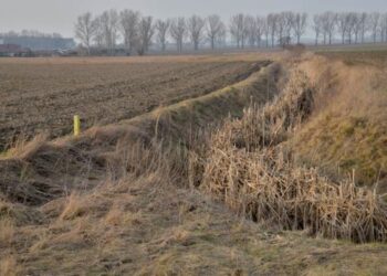 Padew Narodowa: Przyspieszmy ten proces scalania!