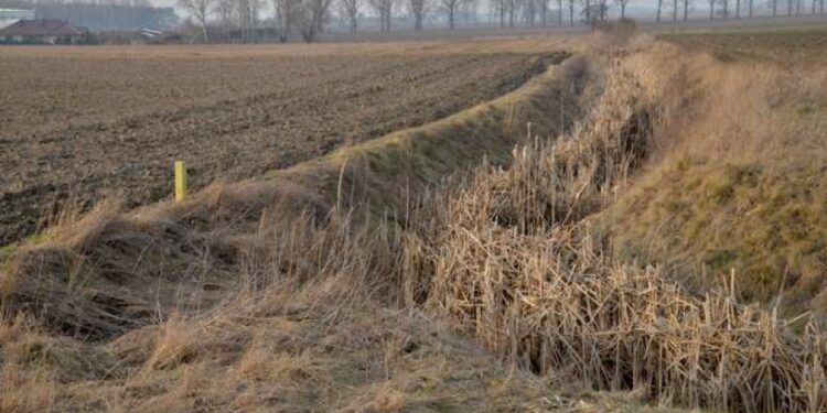 Padew Narodowa: Przyspieszmy ten proces scalania!