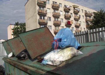 Mielec: Walentynkowy wieczór w kinie