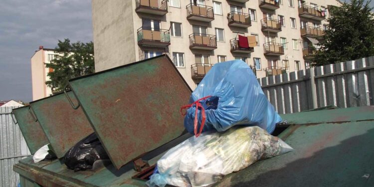 Mielec: Walentynkowy wieczór w kinie