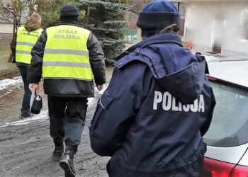 Kolbuszowa: Wzmocnią kontrole posesji.