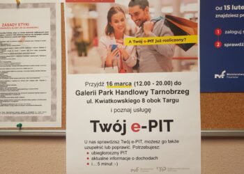 Tarnobrzeg. Pracownicy skarbówki pomogą w złożeniu zeznań podatkowych za pomocą usługi Twój e-PIT.