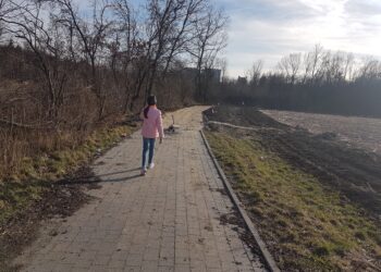 Tarnobrzeg. Deptak spacerowo – rowerowy od Parku Dzikowskiego do Osiedla Dzików.