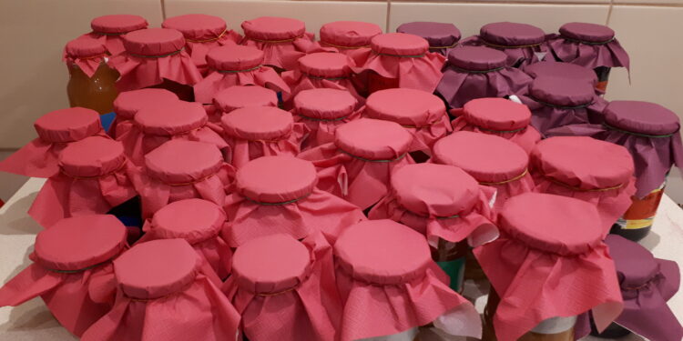 Dwikozy: Inkubator Przetwórczy wzorem do naśladowania.