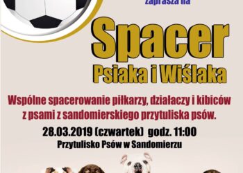 Sandomierz: Druga odsłona akcji 'Spacer Psiaka i Wiślaka’.
