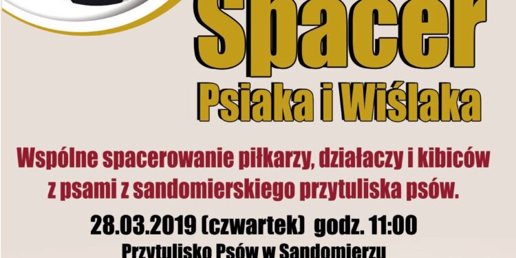 Sandomierz: Druga odsłona akcji 'Spacer Psiaka i Wiślaka’.